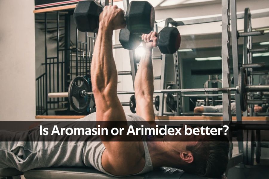 aromasin vs arimidex bodybuilding forum